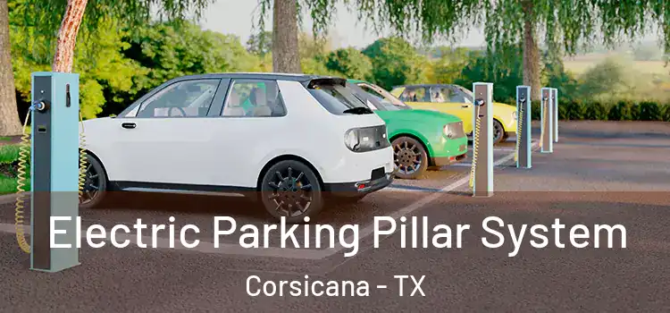 Electric Parking Pillar System Corsicana - TX