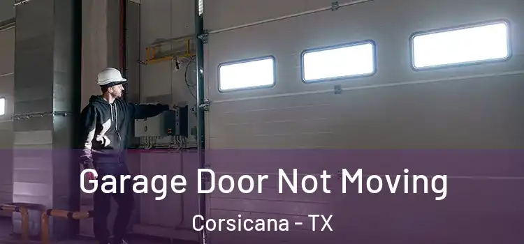  Garage Door Not Moving Corsicana - TX